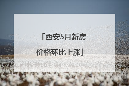 西安5月新房价格环比上涨