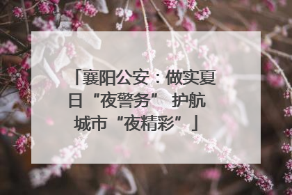 襄阳公安：做实夏日“夜警务” 护航城市“夜精彩”