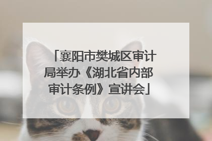 襄阳市樊城区审计局举办《湖北省内部审计条例》宣讲会