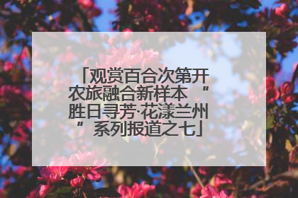 观赏百合次第开 农旅融合新样本 “胜日寻芳·花漾兰州”系列报道之七