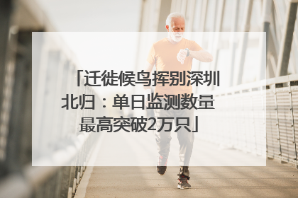 迁徙候鸟挥别深圳北归：单日监测数量最高突破2万只
