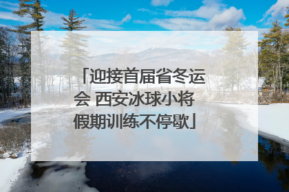 迎接首届省冬运会 西安冰球小将假期训练不停歇