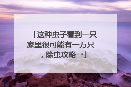 这种虫子看到一只家里很可能有一万只，除虫攻略→