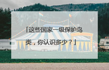 这些国家一级保护鸟类，你认识多少？