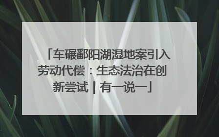 车碾鄱阳湖湿地案引入劳动代偿：生态法治在创新尝试｜有一说一