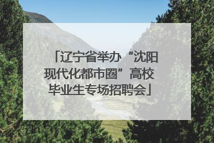 辽宁省举办“沈阳现代化都市圈”高校毕业生专场招聘会