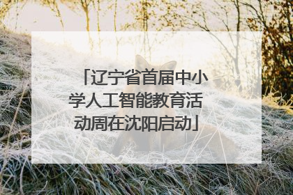 辽宁省首届中小学人工智能教育活动周在沈阳启动
