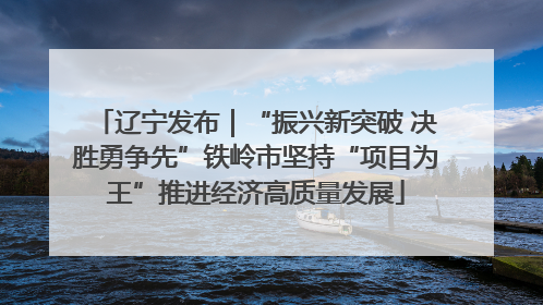 辽宁发布｜“振兴新突破 决胜勇争先”铁岭市坚持“项目为王”推进经济高质量发展