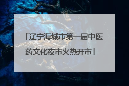 辽宁海城市第一届中医药文化夜市火热开市