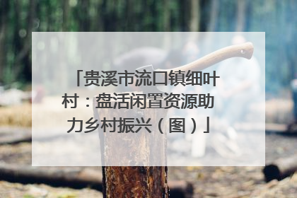 贵溪市流口镇细叶村：盘活闲置资源助力乡村振兴（图）
