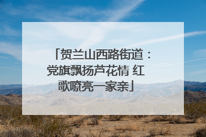 贺兰山西路街道：党旗飘扬芦花情 红歌嘹亮一家亲