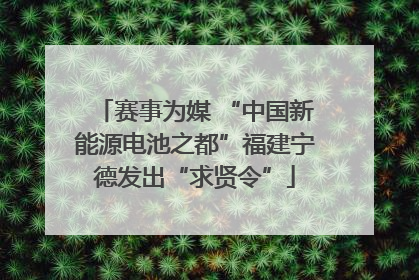 赛事为媒 “中国新能源电池之都”福建宁德发出“求贤令”