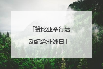赞比亚举行活动纪念非洲日