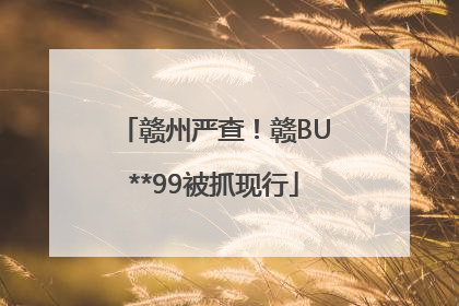 赣州严查！赣BU**99被抓现行