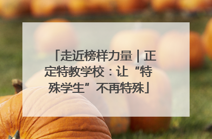 走近榜样力量｜正定特教学校：让“特殊学生”不再特殊