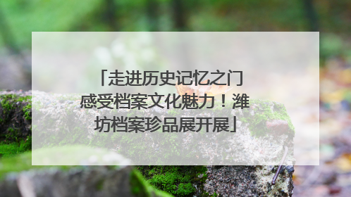 走进历史记忆之门 感受档案文化魅力！潍坊档案珍品展开展