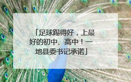 足球踢得好，上最好的初中、高中！一地县委书记承诺