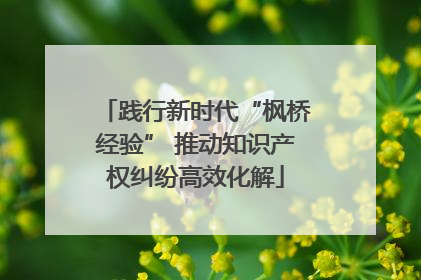 践行新时代“枫桥经验” 推动知识产权纠纷高效化解