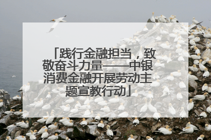 践行金融担当，致敬奋斗力量——中银消费金融开展劳动主题宣教行动