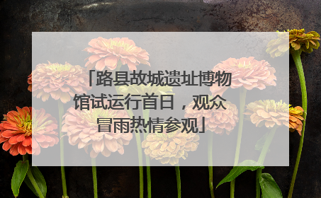 路县故城遗址博物馆试运行首日，观众冒雨热情参观