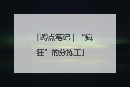 蹲点笔记｜“疯狂”的分拣工