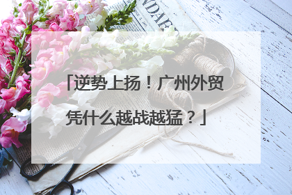 逆势上扬！广州外贸凭什么越战越猛？