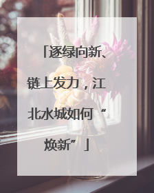 逐绿向新、链上发力，江北水城如何“焕新”