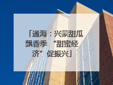 通海：兴蒙甜瓜飘香季 “甜蜜经济”促振兴