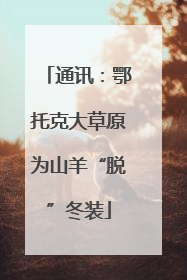 通讯：鄂托克大草原为山羊“脱”冬装