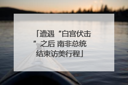 遭遇“白宫伏击”之后 南非总统结束访美行程