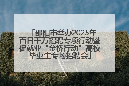 邵阳市举办2025年百日千万招聘专项行动暨促就业“金桥行动”高校毕业生专场招聘会