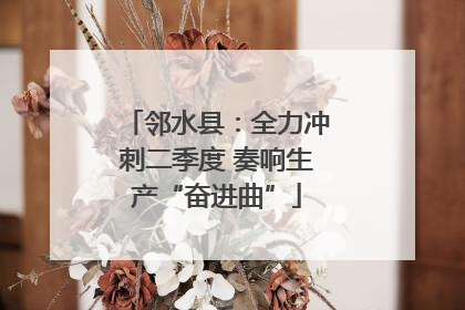邻水县：全力冲刺二季度 奏响生产“奋进曲”