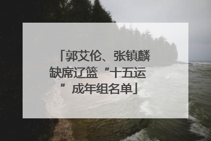 郭艾伦、张镇麟缺席辽篮“十五运”成年组名单