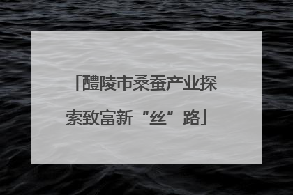 醴陵市桑蚕产业探索致富新“丝”路