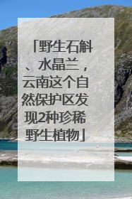 野生石斛、水晶兰，云南这个自然保护区发现2种珍稀野生植物