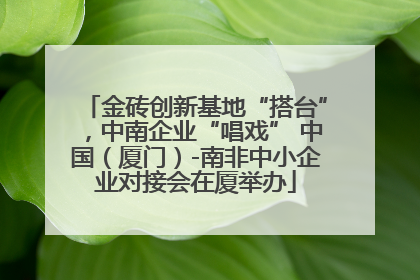 金砖创新基地“搭台”，中南企业“唱戏” 中国（厦门）-南非中小企业对接会在厦举办