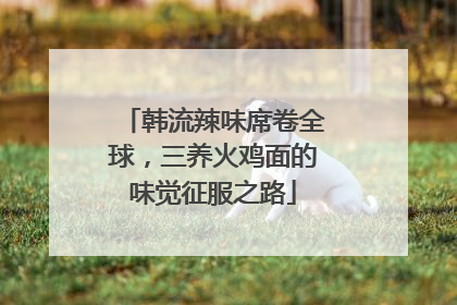 韩流辣味席卷全球，三养火鸡面的味觉征服之路