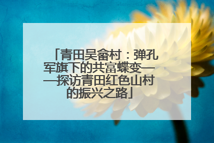 青田吴畲村：弹孔军旗下的共富蝶变——探访青田红色山村的振兴之路