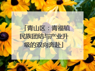 青山区：青福镇民族团结与产业升级的双向奔赴