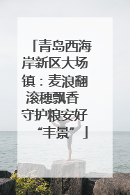 青岛西海岸新区大场镇：麦浪翻滚穗飘香 守护粮安好“丰景”