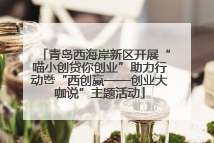 青岛西海岸新区开展“喵小创贷你创业”助力行动暨“西创赢——创业大咖说”主题活动