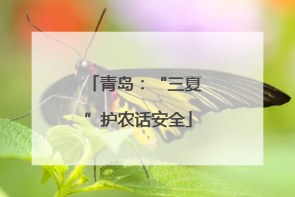 青岛：“三夏”护农话安全