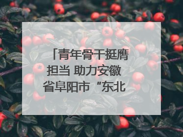 青年骨干挺膺担当 助力安徽省阜阳市“东北大外环”建设