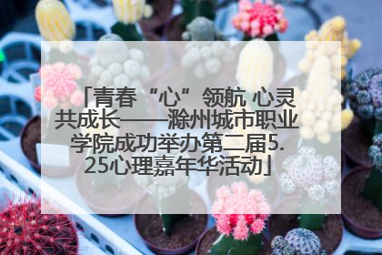 青春“心”领航 心灵共成长——滁州城市职业学院成功举办第二届5.25心理嘉年华活动