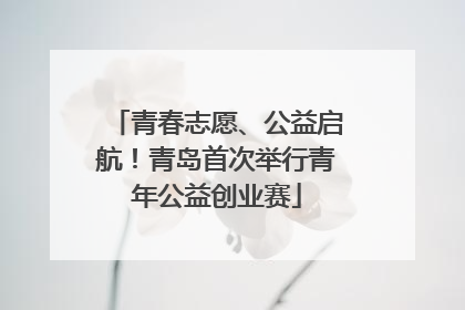 青春志愿、公益启航！青岛首次举行青年公益创业赛