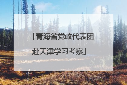 青海省党政代表团赴天津学习考察