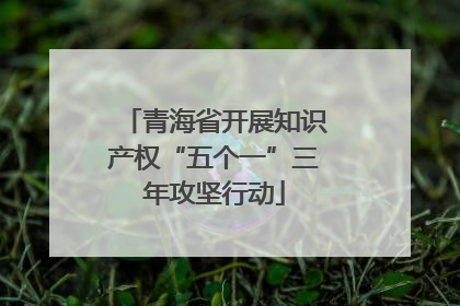 青海省开展知识产权“五个一”三年攻坚行动
