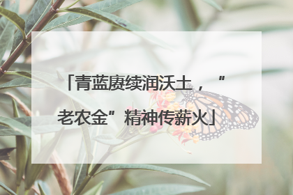 青蓝赓续润沃土，“老农金”精神传薪火