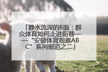 静水流深的B面：群众体育如何走进街巷——“安徽体育观察ABC”系列报道之二