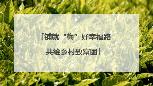 铺就“梅”好幸福路 共绘乡村致富图